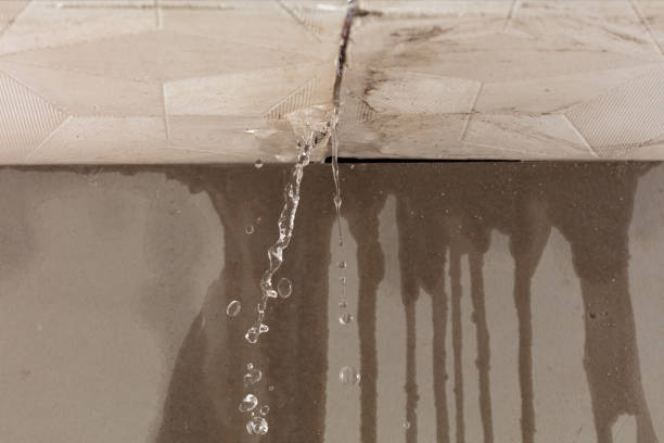 Professional Burst Pipe Cleanup technician working in Muldoon, TX